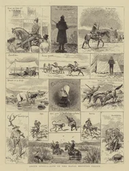 Afrique du Sud, vie dans la police montée du Natal